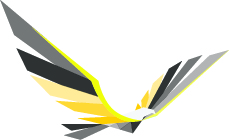 Falcon Compliance Group